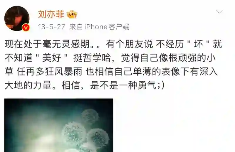 白玉兰风波升级，“一言不发”的刘亦菲，终于不再顾忌所谓的体面