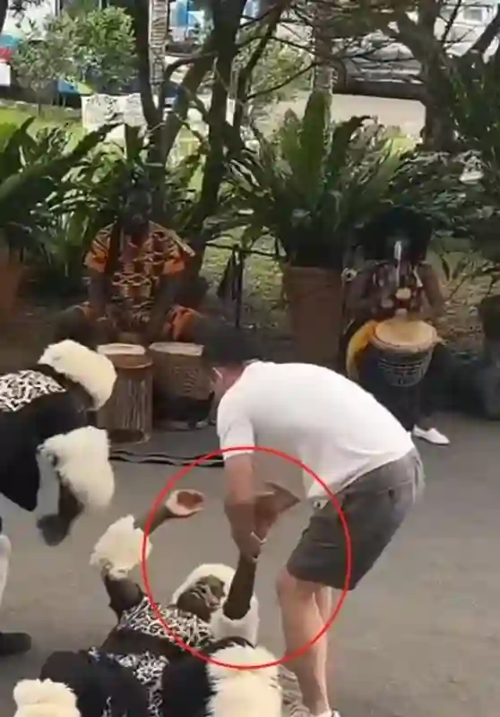 汪小菲的下意识举动暴露人品，跟王思聪一比较，两人差距太明显