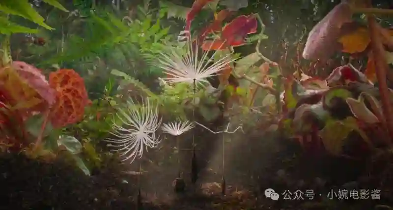 戛纳day11：达内新作感动观众，科恩单干水准尚可