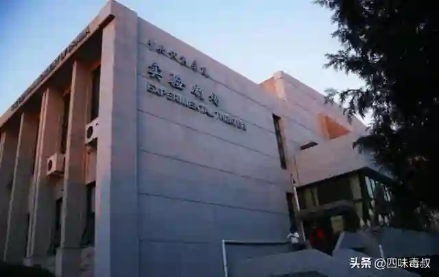 不当演员，就活不下去吗？
