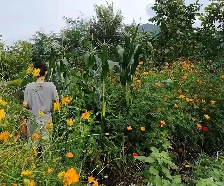 直到看完殷桃的家，终于明白她45岁却不着急结婚生子的原因了