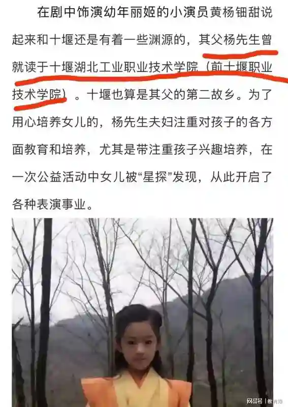 又添新料，耳环妹黄杨钿甜父亲学历曝光，入职新单位就是主任