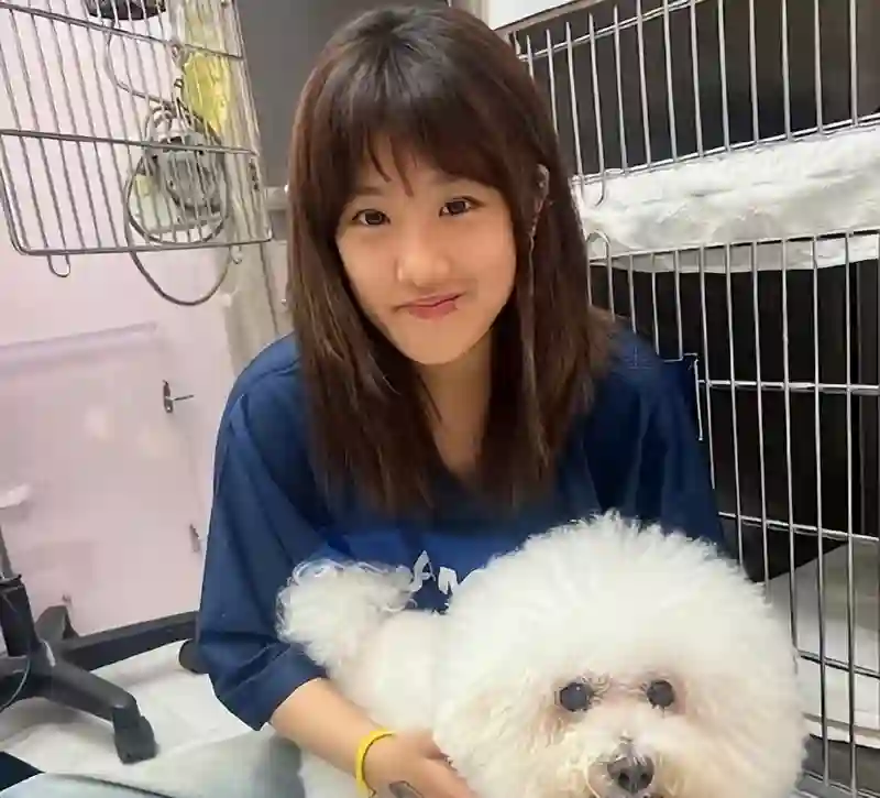 直到看见“焦头烂额”的宗馥莉，我才明白贾静雯的做法有多明智