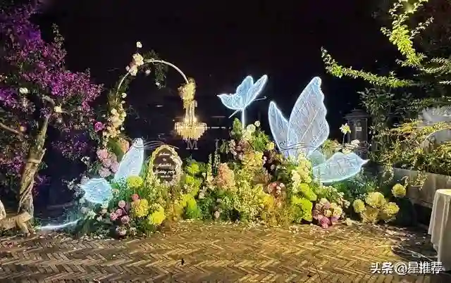 陈妍希晒离婚后首个生日在洱海和儿子相依看海的背影照