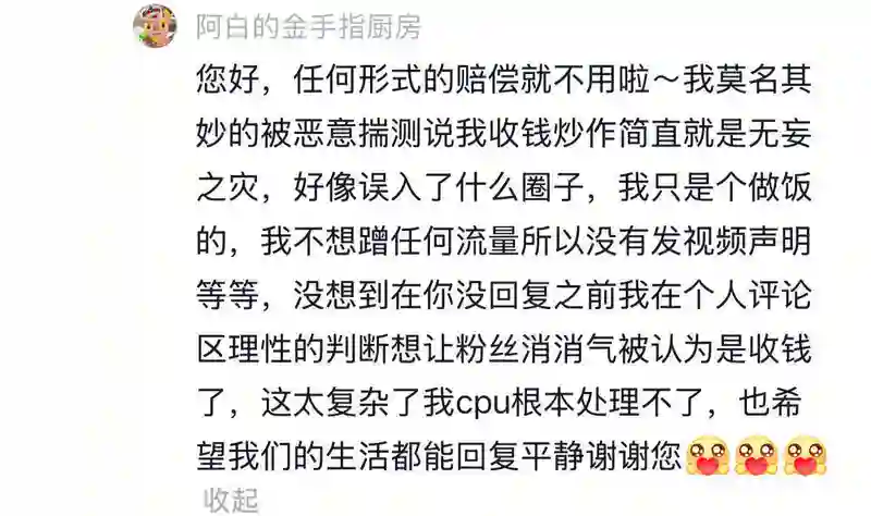 麦琳承认短视频模仿并致歉，当事博主拒赔只求安稳度日