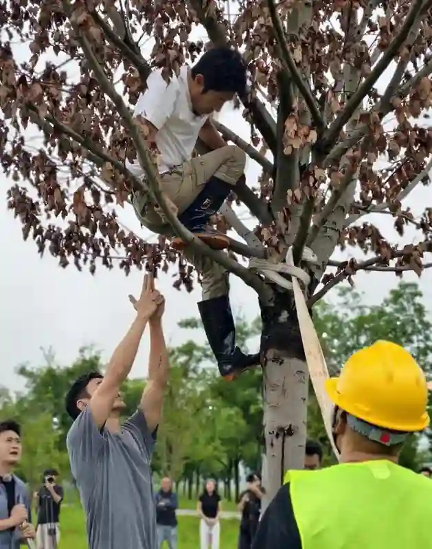 尼格买提发文“树上骑个猴”，撒贝宁这表情绝了，调皮孩子上线！