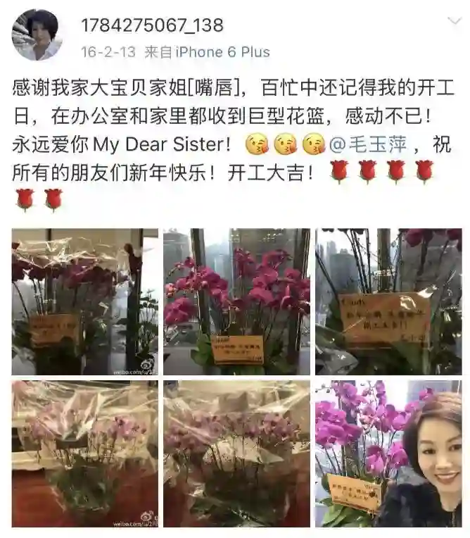 王一博于适背后的女大佬，电影圈最会赚钱的制片人陈祉希