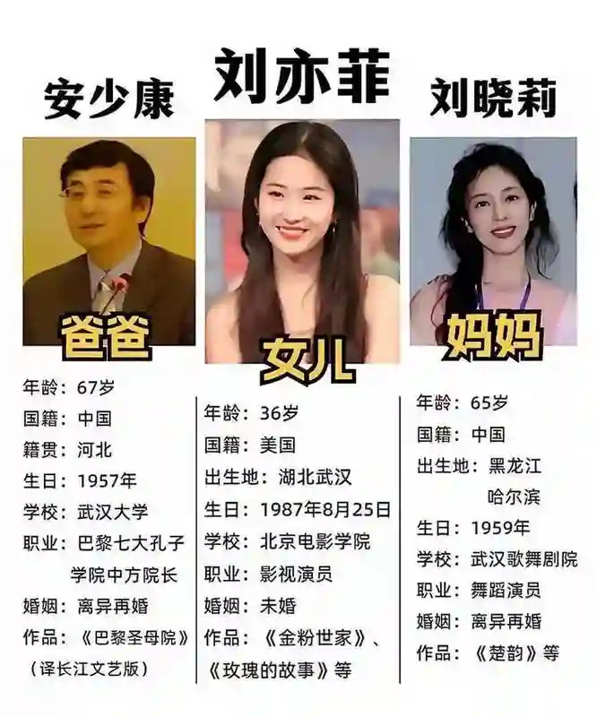 刘亦菲母亲刘晓莉：长得比女儿还漂亮，两婚两离，66岁单身也幸福