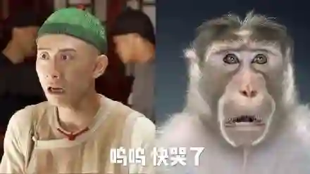 曾经是顶流，现在查无此人？