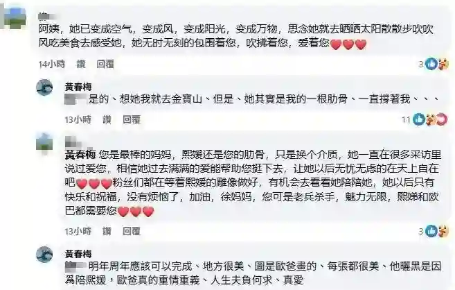 S妈曝大S雕像明年可落成，具俊晔天天去墓地陪伴，重情重义好男人