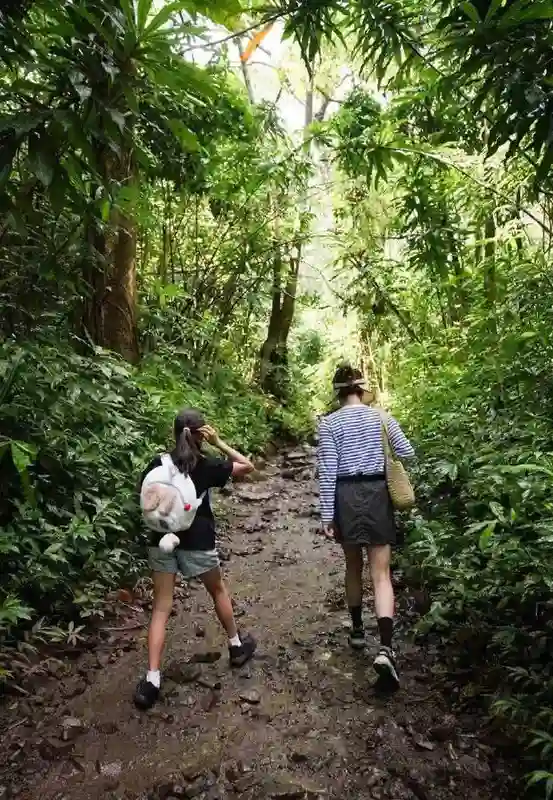 孙俪分享爬山日常：一家四口同框 等等身高已赶超妈妈