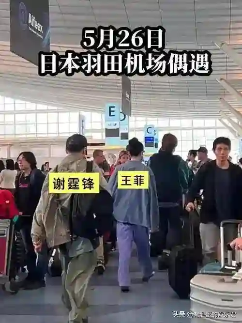 单亲家庭太心酸，17岁谢振轩只出一招，45岁谢霆锋“成了笑话”