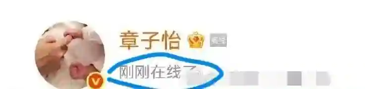 章子怡评论赵丽颖，力破孤立传闻，网友：飘了，连国际章都不回复
