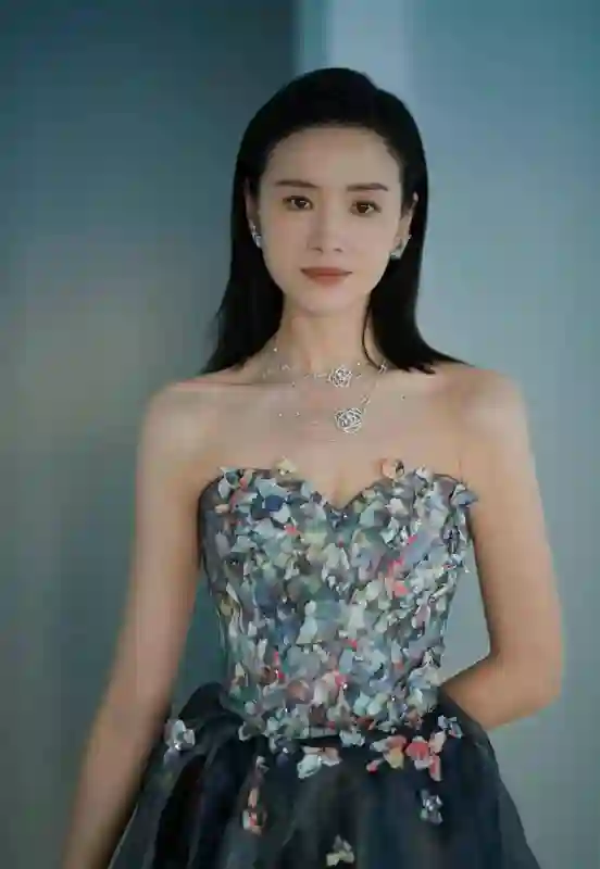 忘拉窗帘12年后，董洁再次尝试复出，却尝到苦果