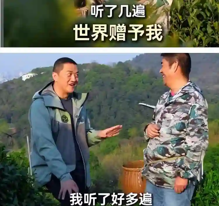 12年后，再看李亚鹏现任妻子海哈金喜，才懂她和王菲谁更“精明”