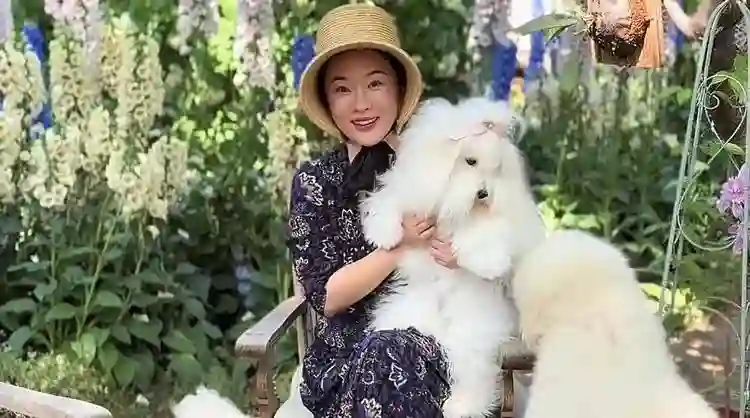 44岁霍思燕晒京郊花园，每天亲自打理，抱七万宠物狗逛花园好贵气