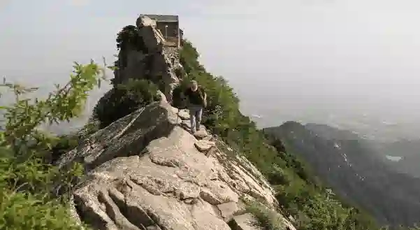 逆天9.5，一集封神！5月黑马这就出现了？