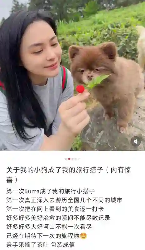 44岁阿娇五一假期带爱狗旅行，背着竹篓去采茶，素颜清纯皮肤白嫩