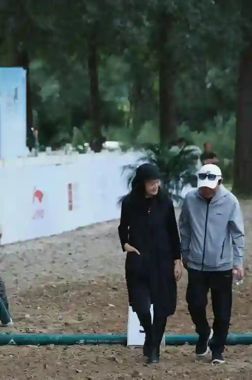 王菲也没想到，自己抛弃的前男友栾树，如今在咏梅手里闪闪发光