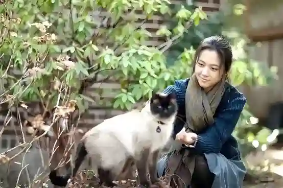 “一脱成名”后消失，45岁在韩国种菜养鸡的汤唯，终于得到了安稳