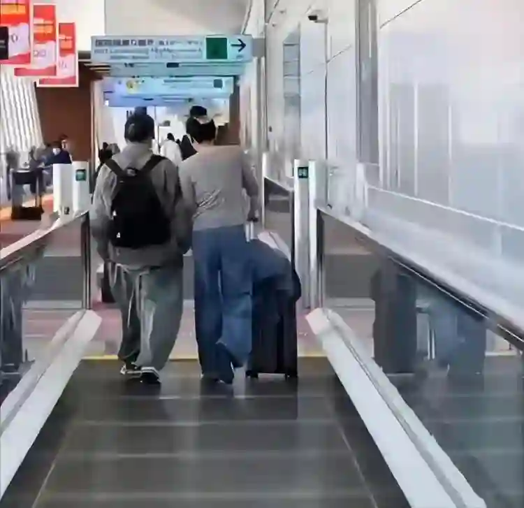 一场旅行看透“锋菲恋”真相，只会当妈的张柏芝、输给王菲是必然