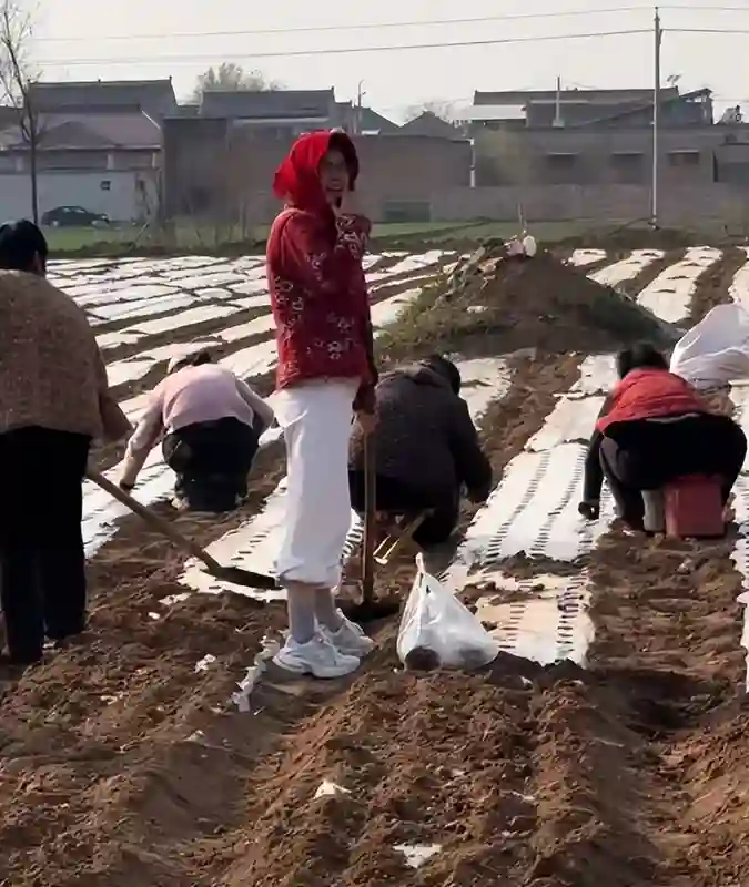 这一次，老夫配少妻的“残酷现实”，在41岁的李嘉明身上得到印证