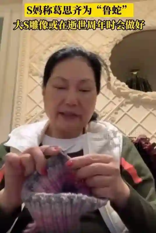 大S雕像进度曝光，S妈称图纸为具俊晔所画并赞其情深