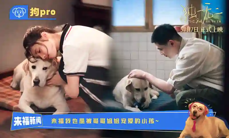电影《独一无二》全新特辑“狗pro”观察室爆料全新大“瓜” 张婧仪辛云来兄妹助攻互为“恋爱军师”