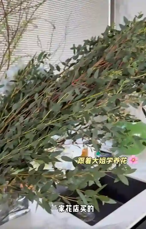 颖儿邀朋友来北京别墅露营，庭院内搭帐篷和超大充气城堡，好惬意