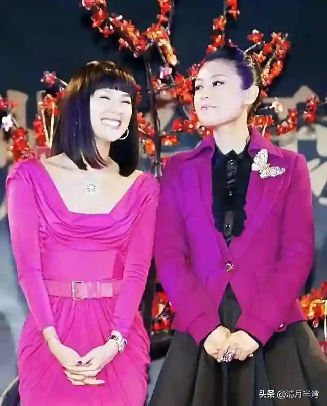 陈红脸平泪沟深算顶级美女吗？看她和周海媚、章子怡合照自有分晓