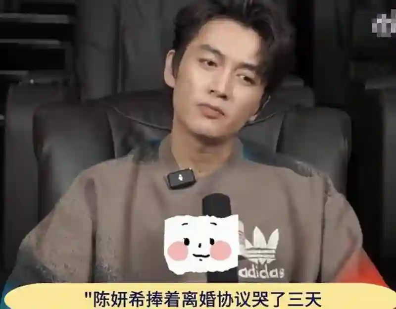 陈晓陈妍希被曝离婚内幕，离不开三个字，女方爆哭三天现状态回归