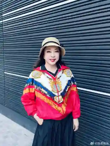 刘晓庆被举报偷漏税 举报人称税务稽查局已受理