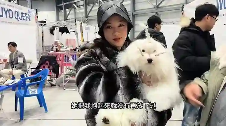 44岁霍思燕晒京郊花园，每天亲自打理，抱七万宠物狗逛花园好贵气