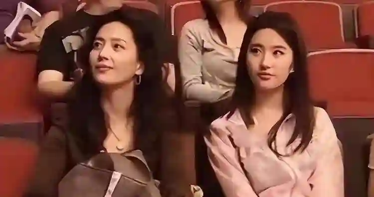 刘亦菲母亲刘晓莉：长得比女儿还漂亮，两婚两离，66岁单身也幸福