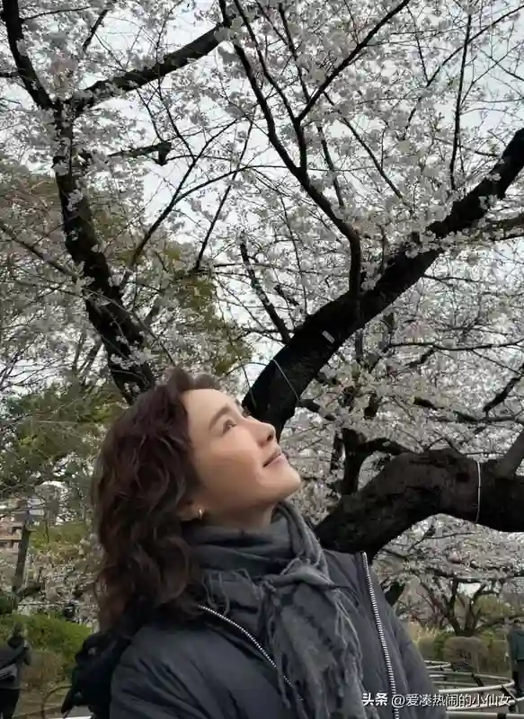 53岁黎姿赏樱，同行美女如云，医美与自然老去差距显著