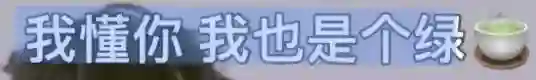 她最大的问题是不太聪明，又很想赢？