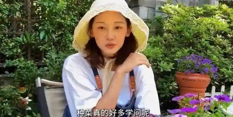 嫁给郑恺五年后，冯小刚直言苗苗虚伪，竟踏上新的人生轨迹