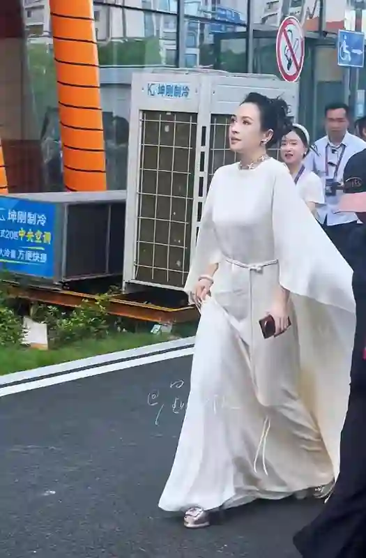 章子怡现身活动嫂子陪同现身，跟在身后像助理，曾出演知名角色