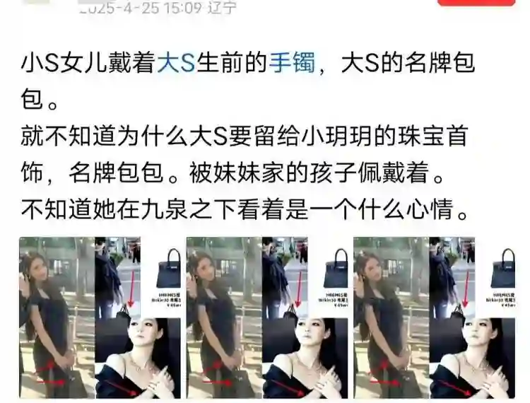 打脸来得太快！小S女儿疑似借用大S遗物，天价包包背着到处炫！