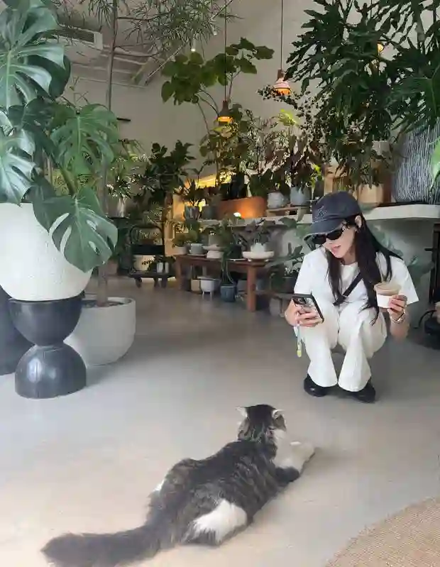 宋茜陈梦同框晒合影！外出享美食互动温馨，心情大好状态佳