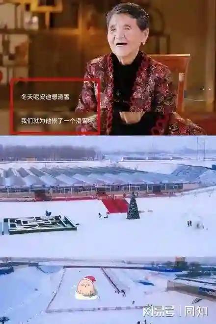 “白月光”黄圣依：下跪赵本山，甩掉杨子，如今醒悟，42岁不算晚