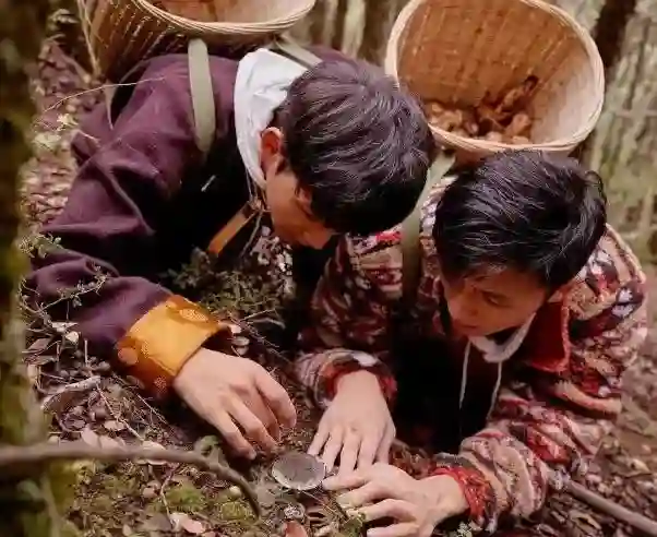 泸定桥偶遇谢霆锋和丁真！拍摄新节目，看不出谢霆锋比丁真大21岁