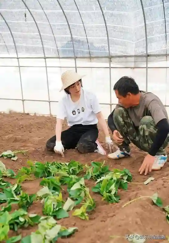 看了不合群的孙俪，再看不合群的赵丽颖，才知她们到底聪明在哪里