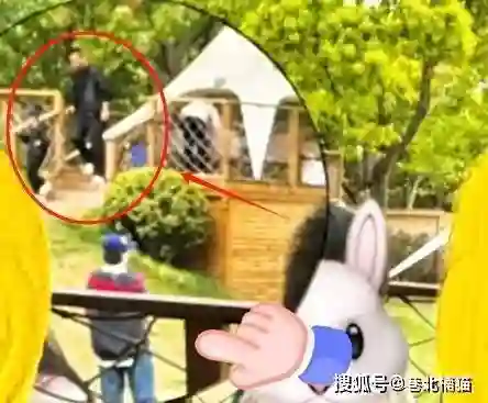 赵丽颖隐婚风波再掀波澜，亲密互动遭深扒，男方疑是导演赵德胤