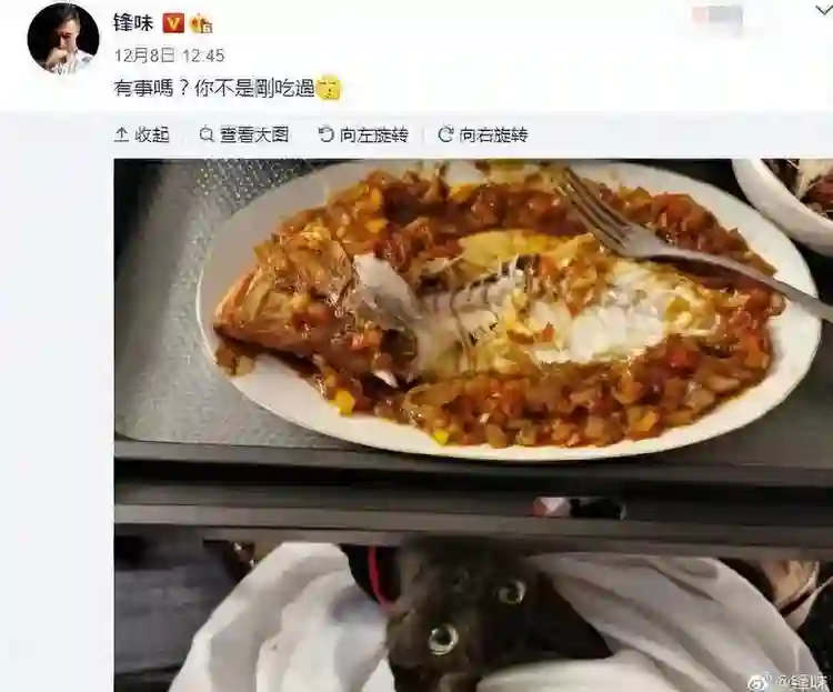 演唱会这4天，谢霆锋与儿子越发亲密，张柏芝一反常态，回忆旧事