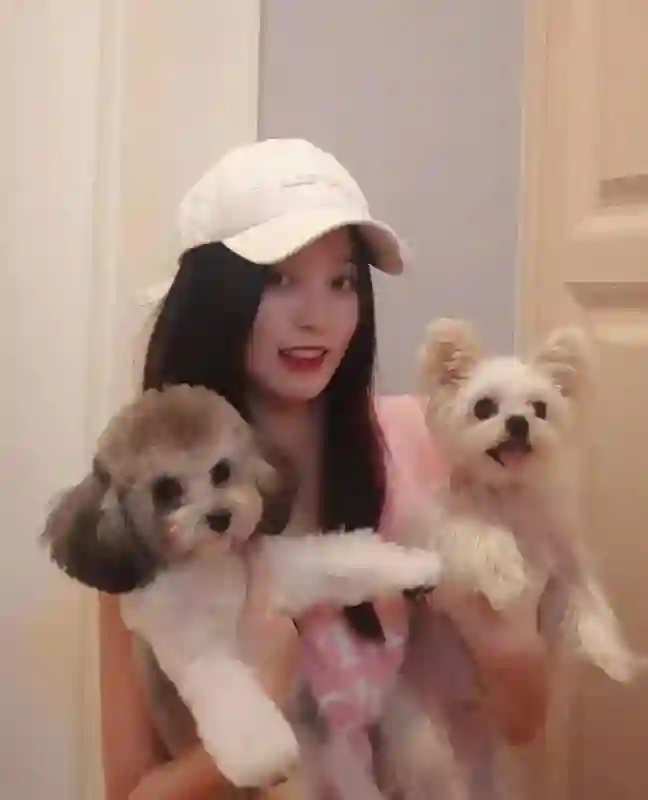 徐艺洋生娃太神秘被质疑代孕！孕期时间线曝光，原来两人奉子成婚