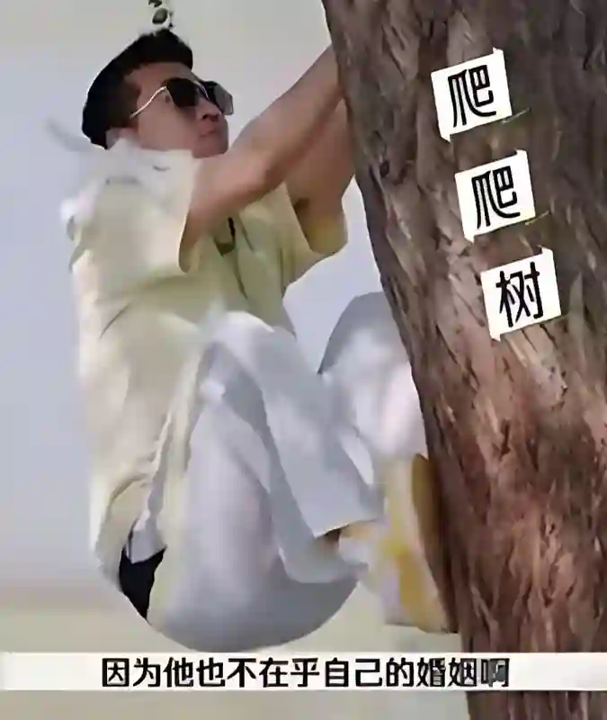 黄圣依也没想到吧？离婚才6个月，她的前夫杨子越来越“抽象”了