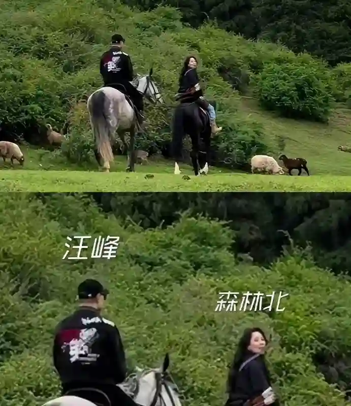 汪峰宁静牵手引争议，森林北删汪峰相关视频，晒童年照引发热议