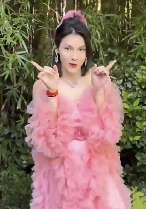 向佐暴瘦！为融资曾跪求200人，郭碧婷综艺透露经济不乐观