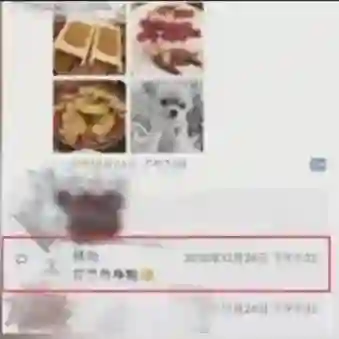 网友变脸速度太快！前有被骂老男人，后央求复合！冯绍峰：晚了！